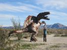 PICTURES/Borrego Springs Sculptures - Dinosaurs & Dragon/t_IMG_8887.JPG